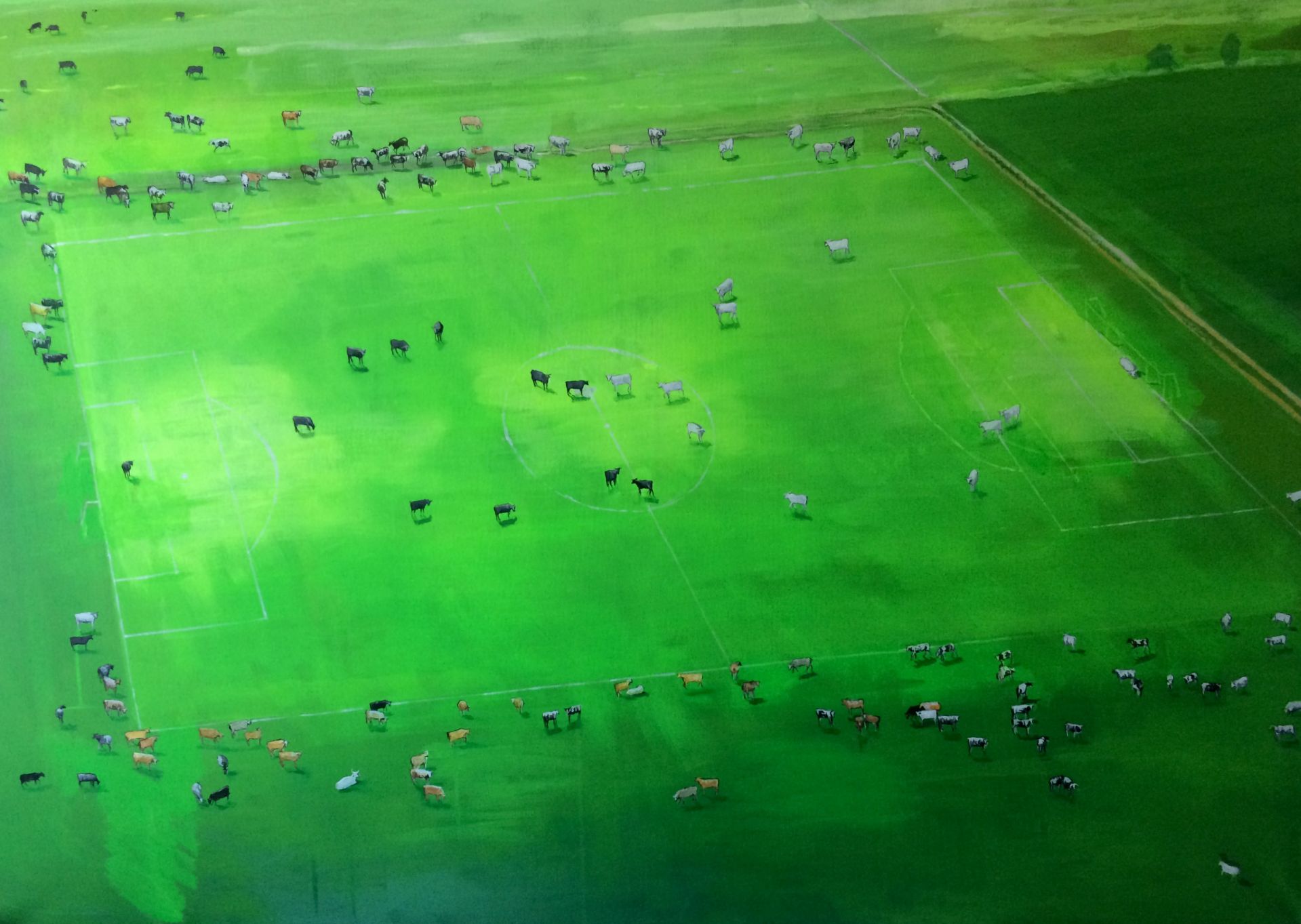 Ábel Péterfy Pasture