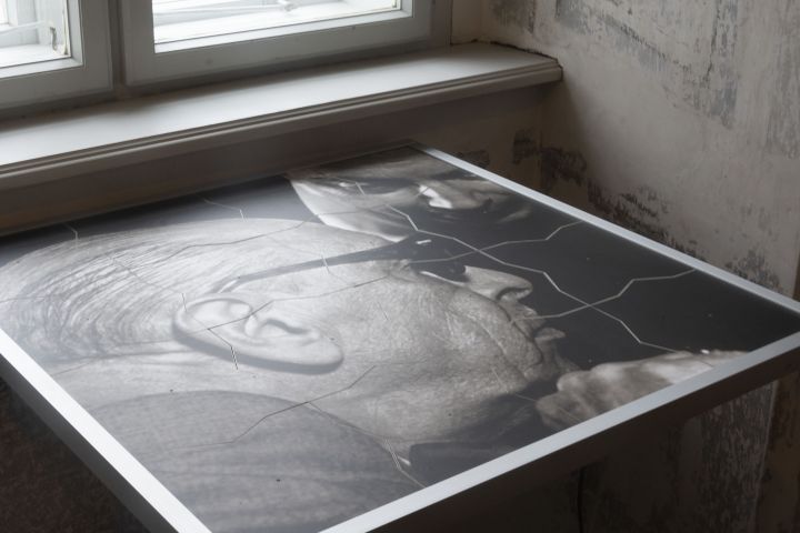 Ábel Péterfy Pasture