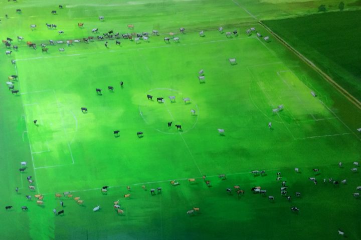 Ábel Péterfy Pasture