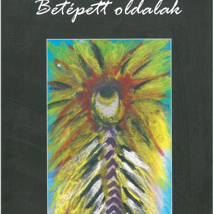 Ádám Faludi Torn Pages