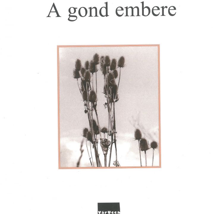 Fábián László A gond embere