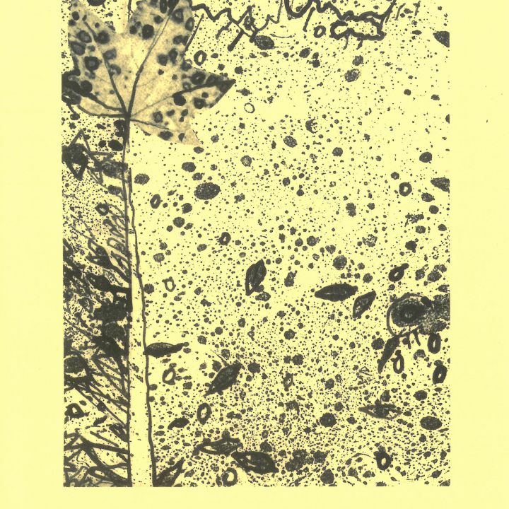 Klára M. Tungli Barely Noticable