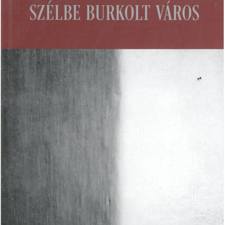 János Géczi A City Wrapped in Wind