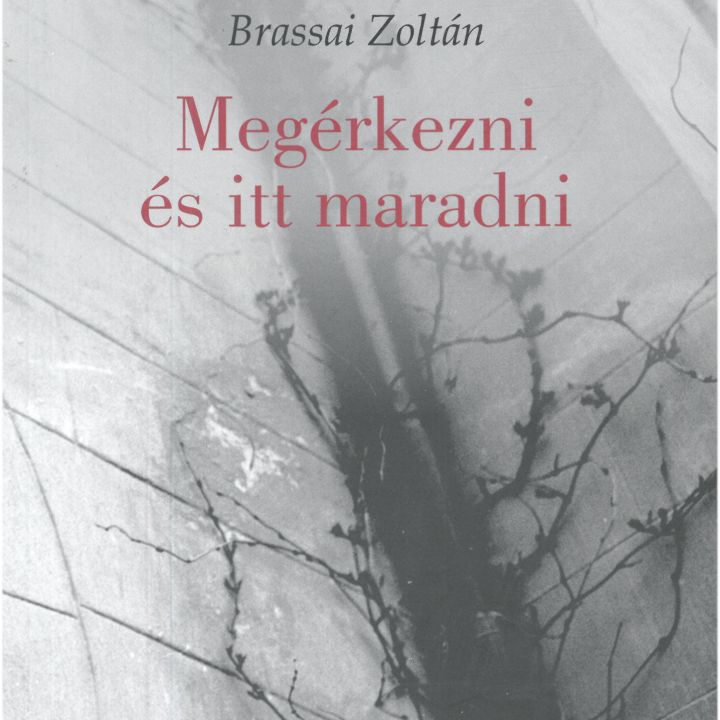 Zoltán Brassai Arriving and Staying Here