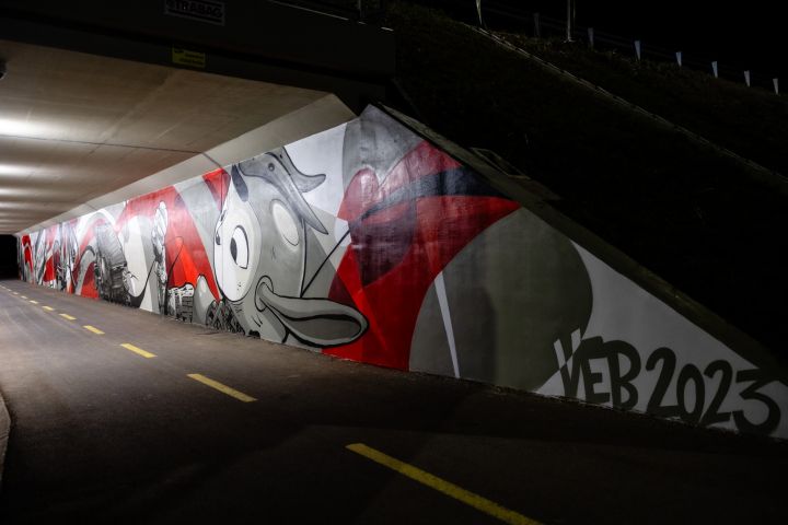 VEB2023 támogatott projekt / StreetArt Veszprém projekt