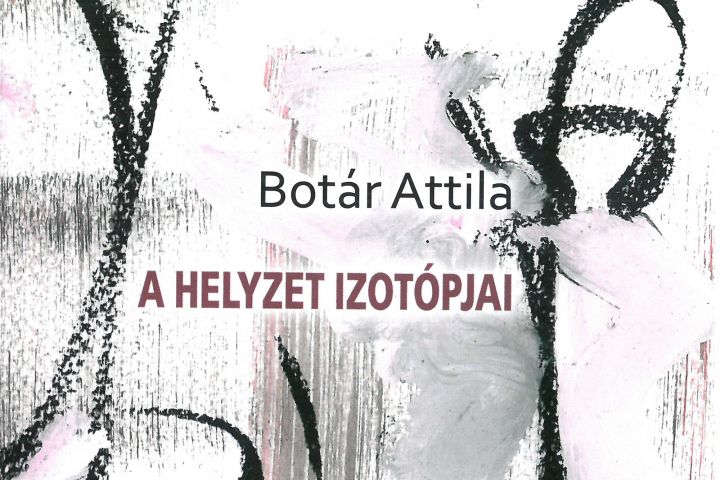 Attila Botár The Isotopes of the Situation