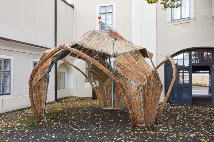 VEB2023 támogatott projekt / Balatorium 