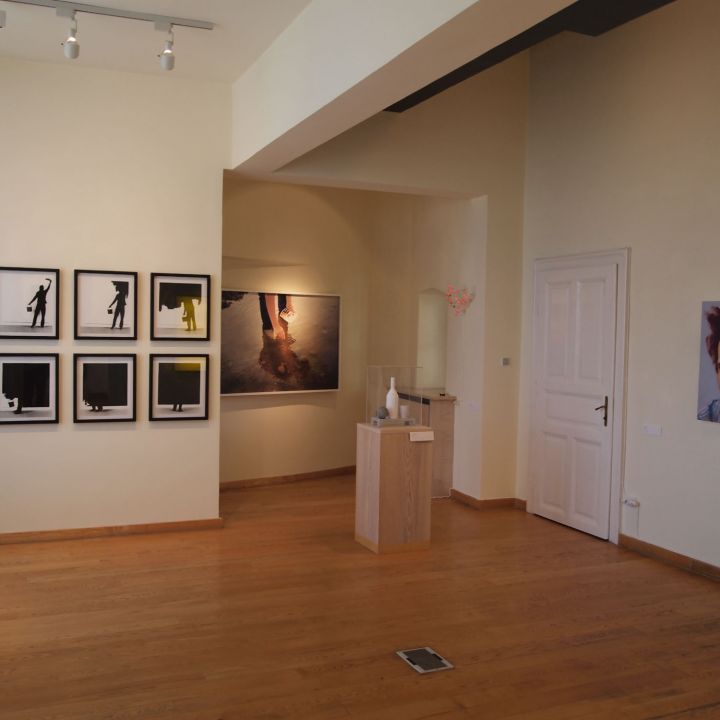 Kilátás Somlói-Spengler Gyűjtemény