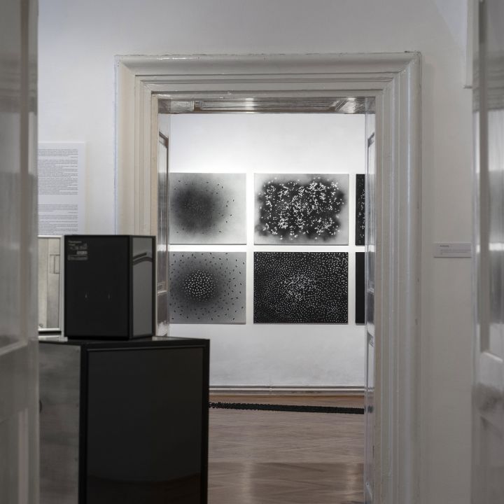 Babinszky Csilla Színe és fonákja