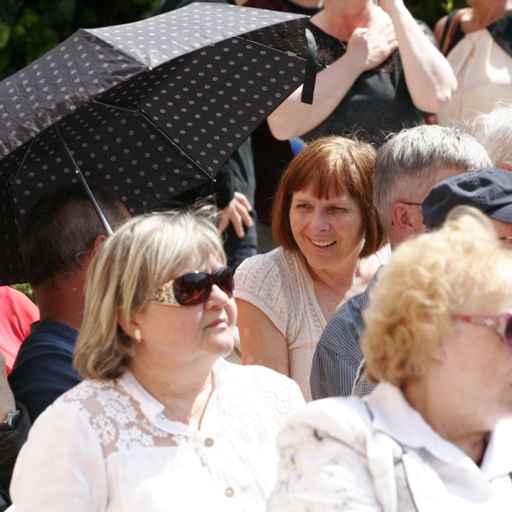 Veszprémi Tavaszi Tárlat 2016