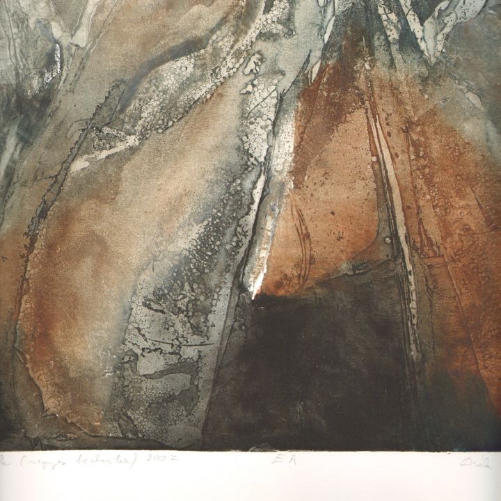 AJKAI GRAFIKAI MŰHELY 30