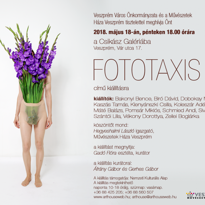 Fototaxis