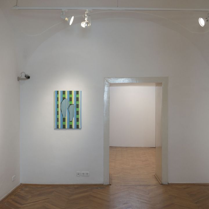 Somody Péter „sietni akarsz, de látod, hogy lassú vagy”