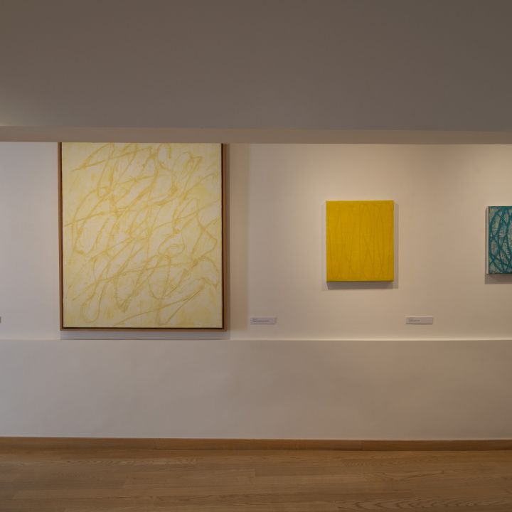 Lakner László&nbsp;/ Áttekintés / Monochromia