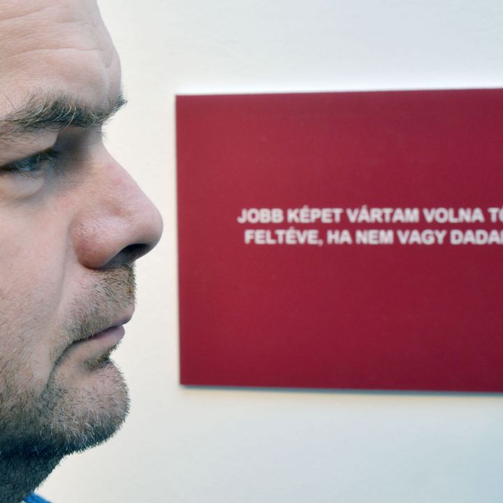 Földesi Barnabás Warning Pseudo Art!