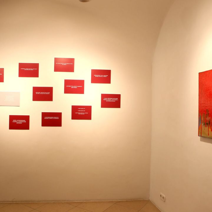 Földesi Barnabás Warning Pseudo Art!