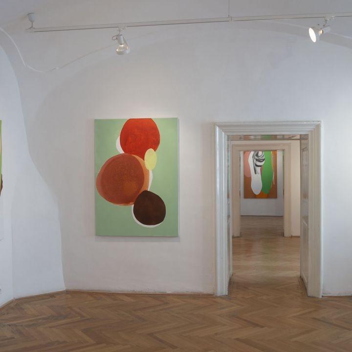 Somody Péter „sietni akarsz, de látod, hogy lassú vagy”