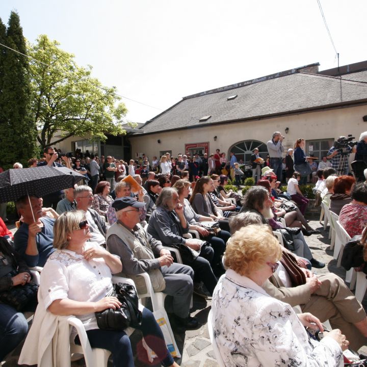 Veszprémi Tavaszi Tárlat 2016