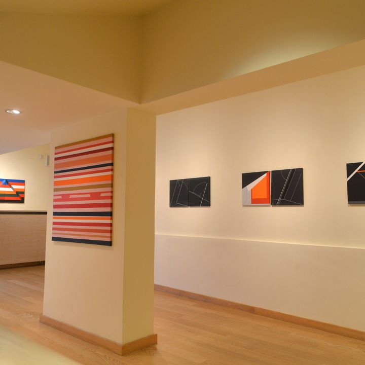 Konok Tamás Ludium Pigmentum