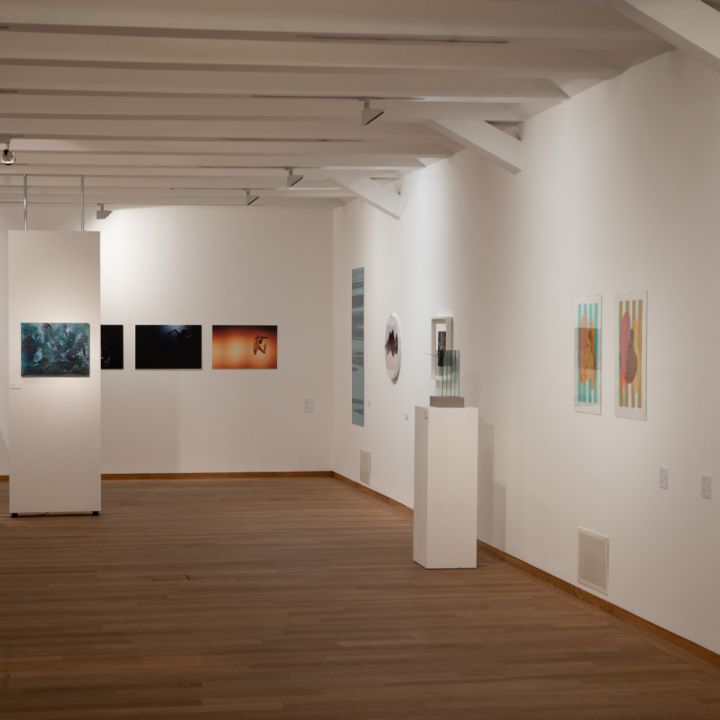 Tavaszi Tárlat Veszprém Áfrány Gábor