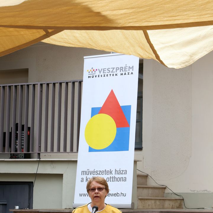 Maurer Dóra A megfigyelés tárgya Object of Observation