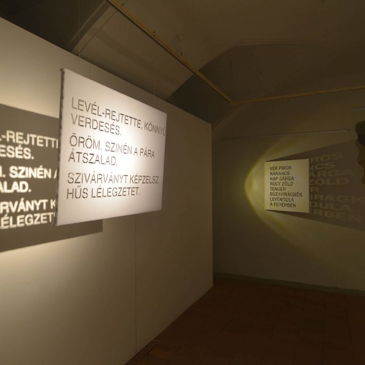 Kontra Ágnes Átlátások