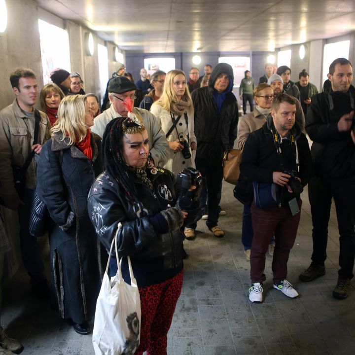 Szilágyi 50 A különbségek szigete