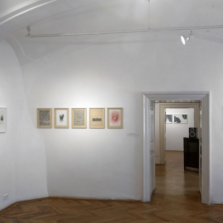 Babinszky Csilla Színe és fonákja