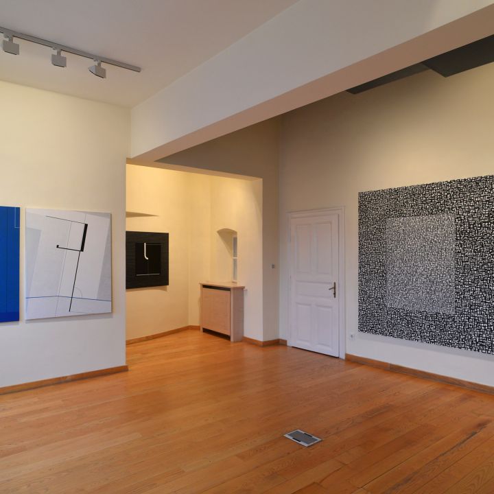 Konok Tamás Ludium Pigmentum