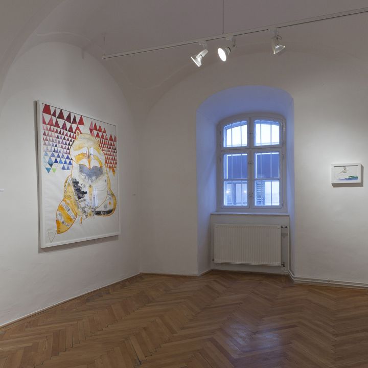 Navratil Judit Tigrisbajszon túl