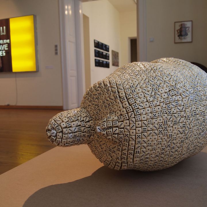 Kilátás Somlói-Spengler Gyűjtemény