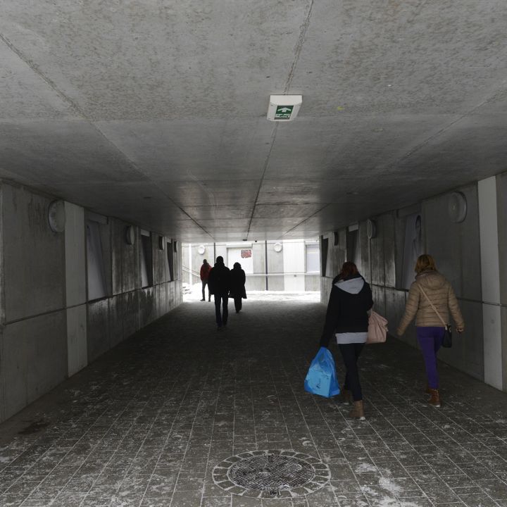 SÁRDI KRISZTINA Arcomra vagy írva