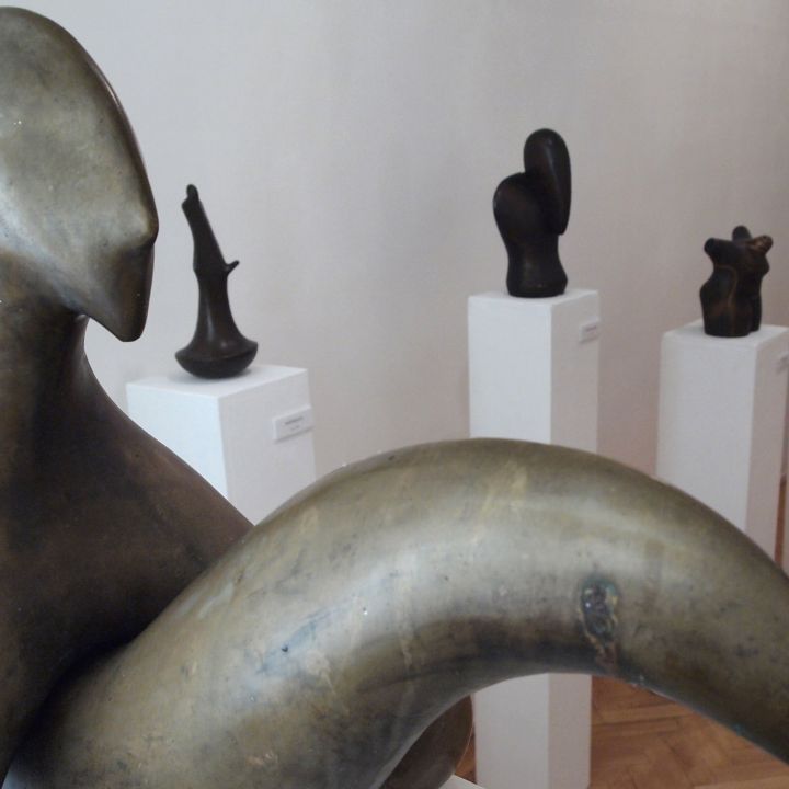 Átlényegült formák Diénes Attila