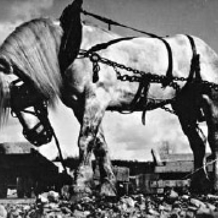 Fotográfusnők Párizs