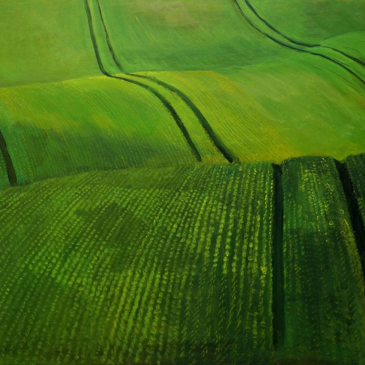 Kallai Sándor NATURA NATURANS