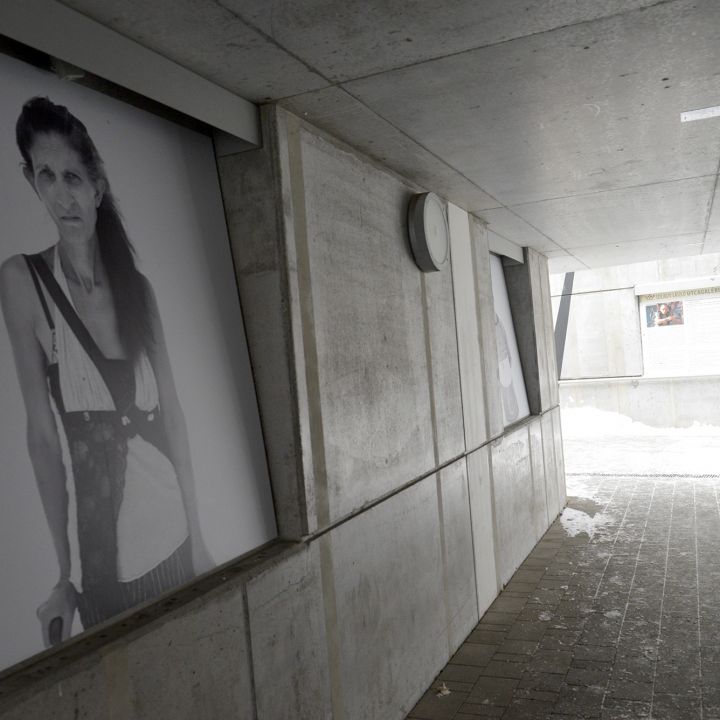 SÁRDI KRISZTINA Arcomra vagy írva