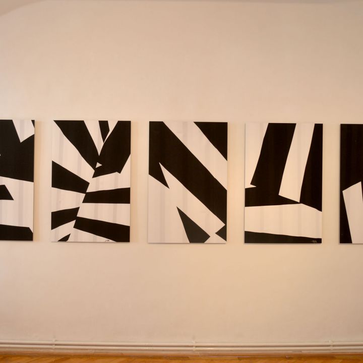 Fotószuprematisták