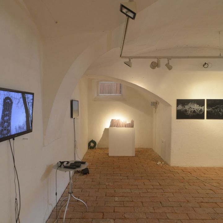 Sós Gergő monoton/monokrom