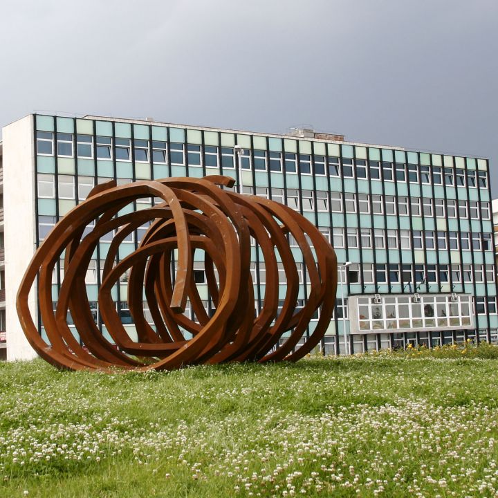 Bernar Venet MetaMetria