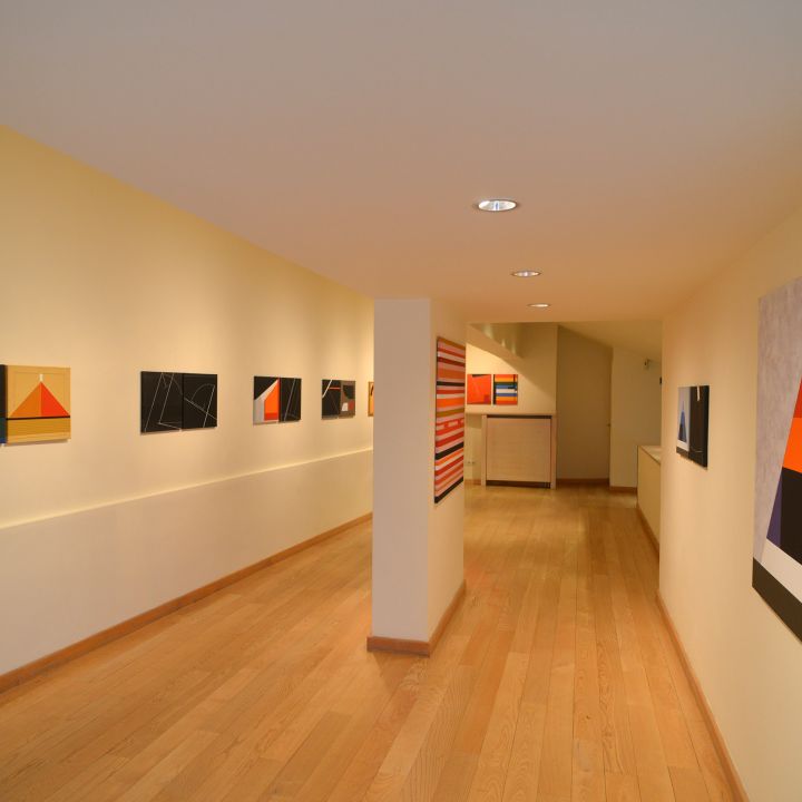 Konok Tamás Ludium Pigmentum