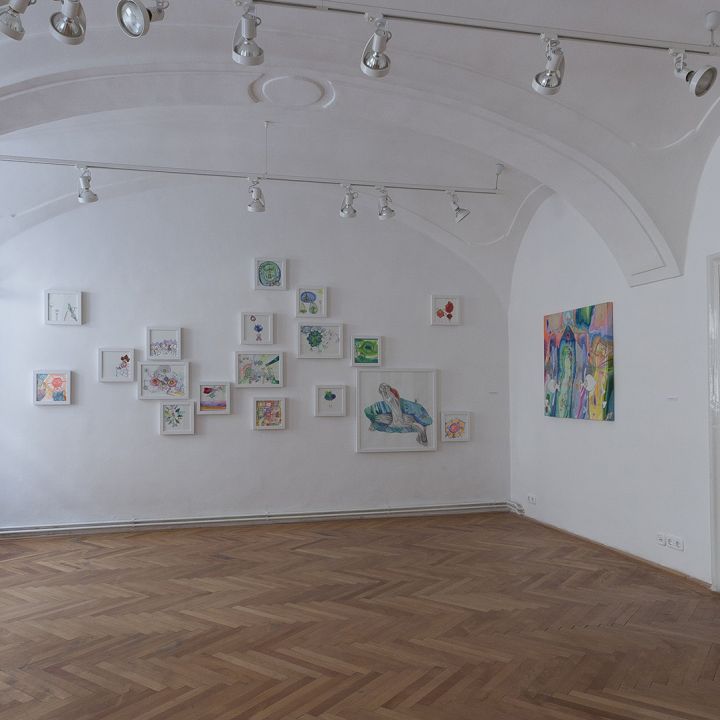 Navratil Judit Tigrisbajszon túl