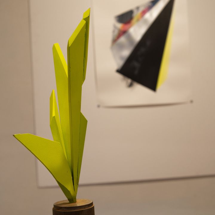 Tomasz Piars / Plank Antal&nbsp;- A Tér törékeny geometriáján túl