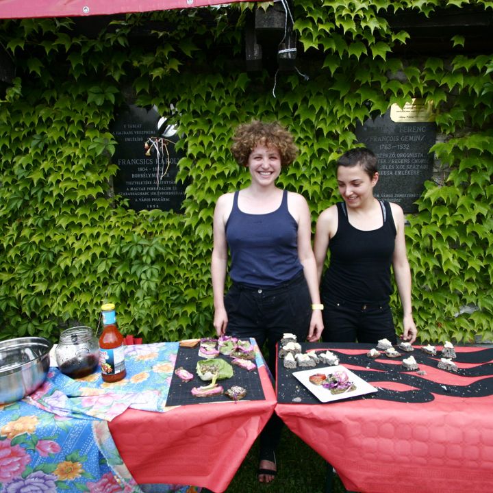 Bernar Venet MetaMetria