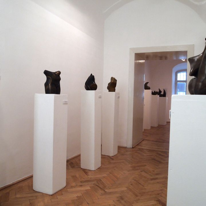 Átlényegült formák Diénes Attila