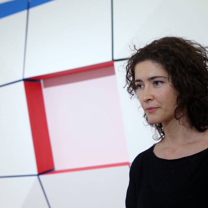 Mar Vicente Fény és Geometria