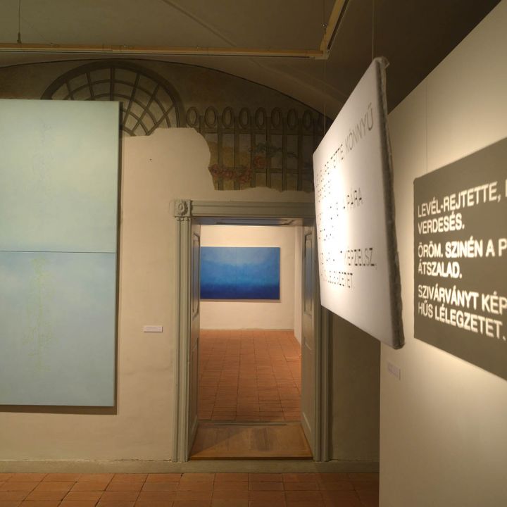 Kontra Ágnes Átlátások