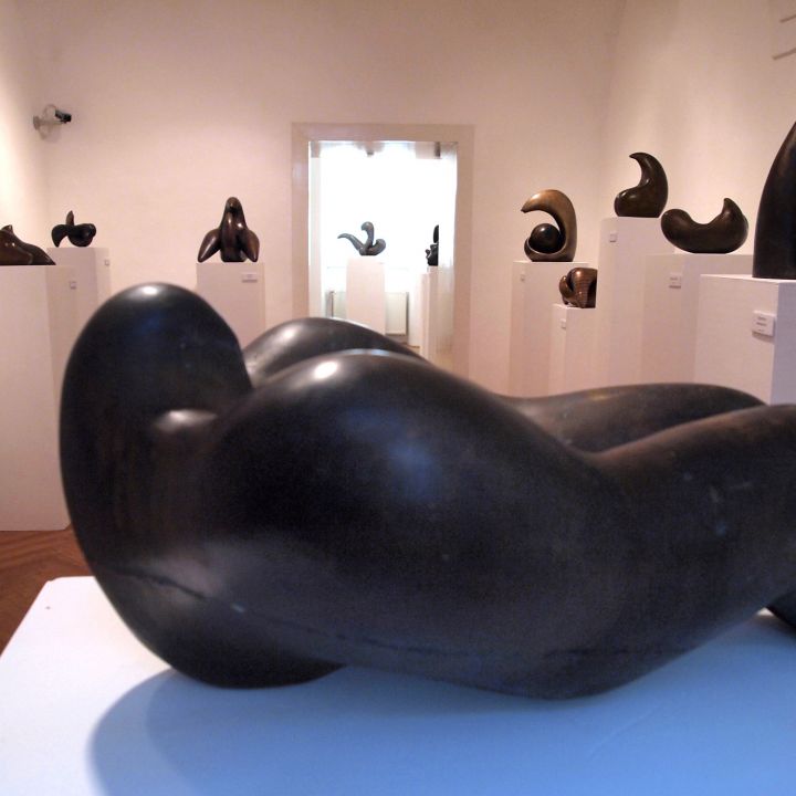 Átlényegült formák Diénes Attila