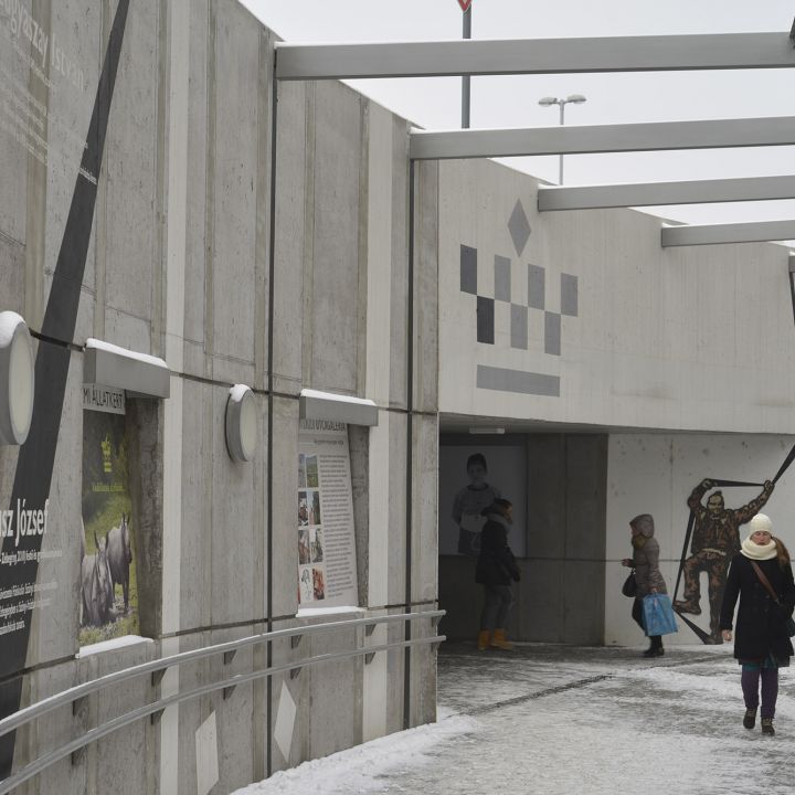 SÁRDI KRISZTINA Arcomra vagy írva