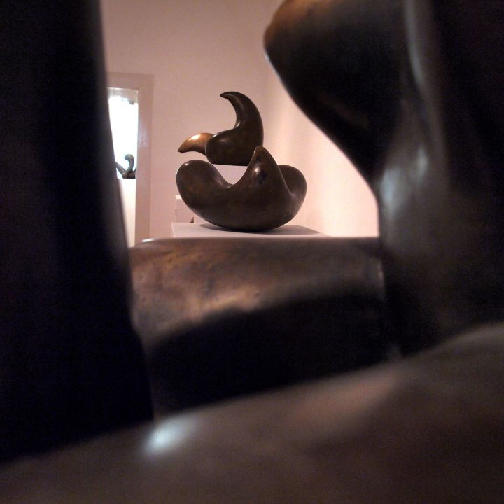 Átlényegült formák Diénes Attila