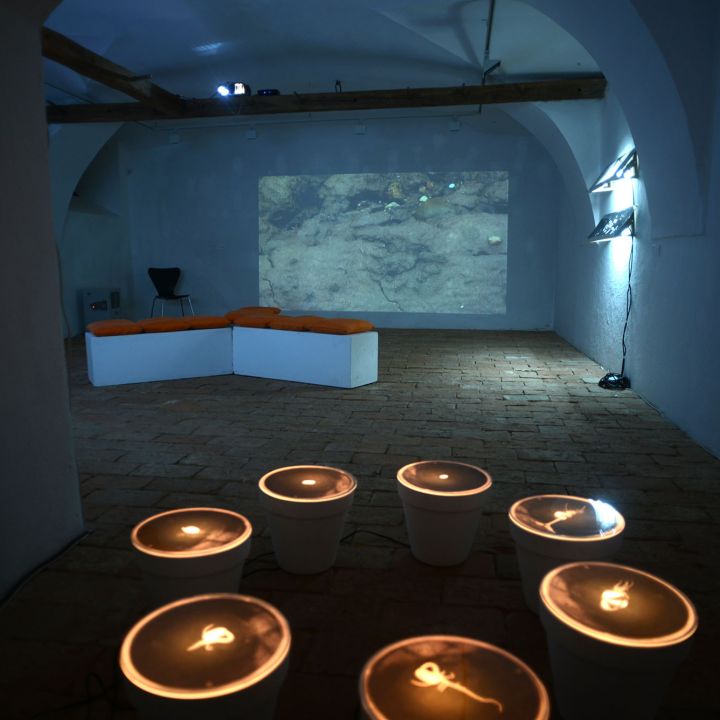 MAMÜ Idő-függések